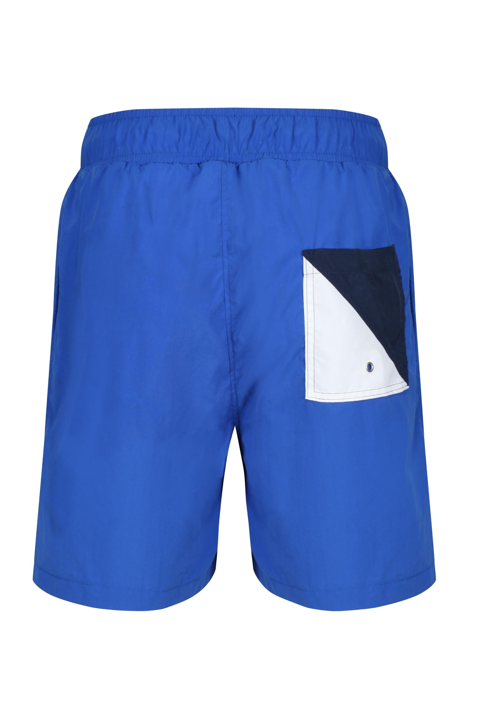 Royal blue swim on sale shorts