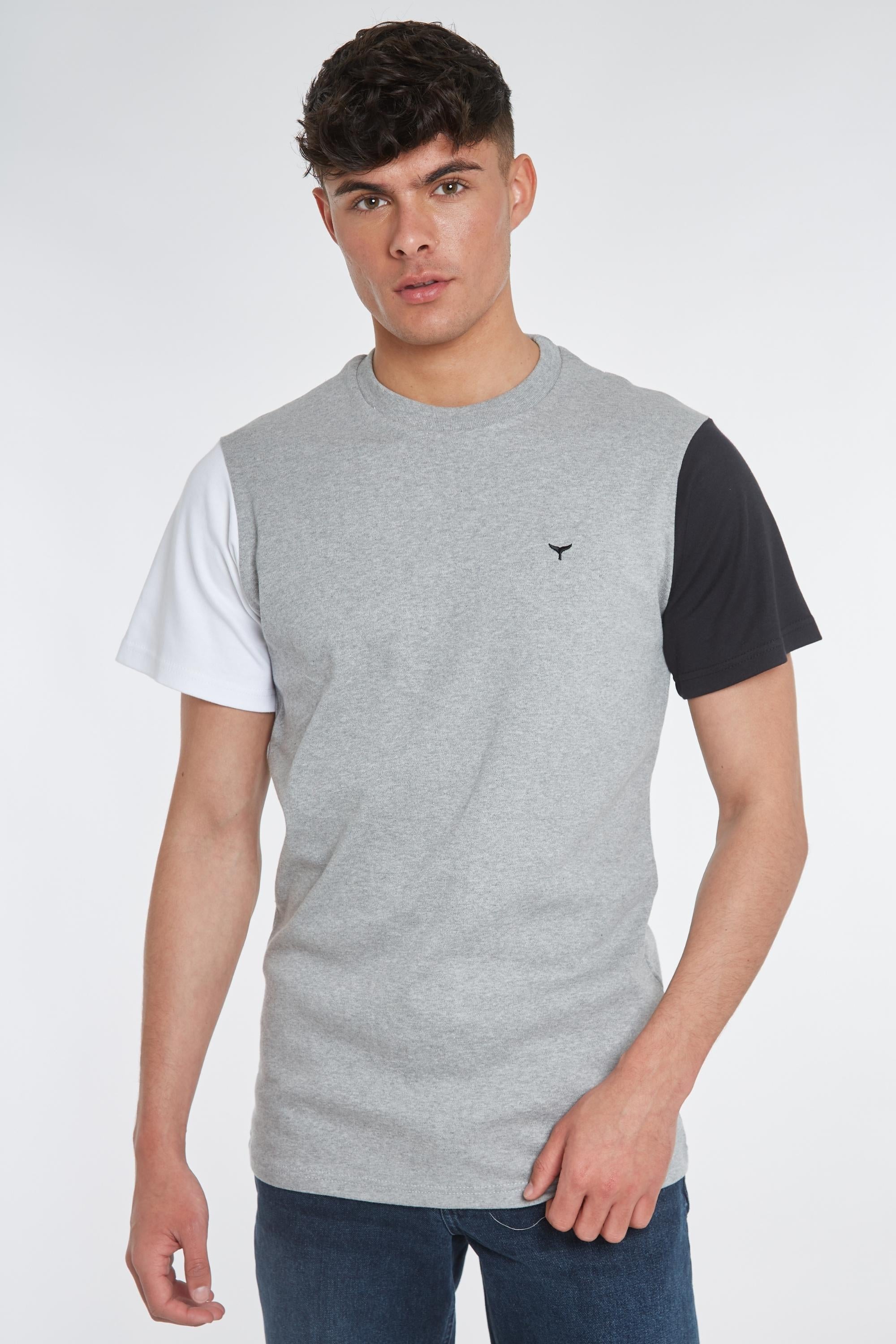 Zalando hollister best sale t shirt